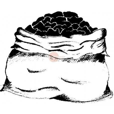 SACCO PIETRALAVICA