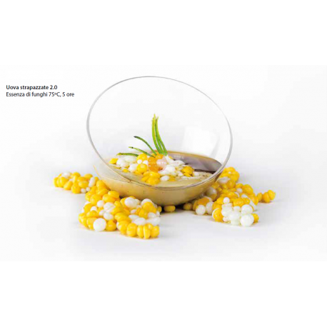 CUOCITORE PER COTTURA A BASSA TEMPERATURA - CONNETTIVITA' BLUETOOTH PER HACCP - TEMPERATURA CONTROLLATA CON ELEVATA PRECISIONE - COSTRUZIONE IN ACCIAIO INOX - DISPLAY TFT A COLORI - RANGE TEMPERATURA 5°/95° - CAPACITA' MAX RECIPIENTE 56 LT - POTENZA 2000 W - DIMENSIONI CM L 12,4 X P 14 X H 36 CUOCITORE PER COTTURA A BASSA TEMPERATURA - CONNETTIVITA' BLUETOOTH PER HACCP - TEMPERATURA CONTROLLATA CON ELEVATA PRECISIONE - COSTRUZIONE IN ACCIAIO INOX - DISPLAY TFT A COLORI - RANGE TEMPERATURA 5°/95° - CAPACITA' MAX RECIPIENTE 56 LT - POTENZA 2000 W - DIMENSIONI CM L 12,4 X P 14 X H 36