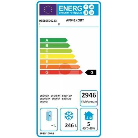 ARMADIO FRIGO 400 LITRI - TEMPERATURA -18°/-22° - REFRIGERAZIONE VENTILATA - DIMENSIONI CM L60 X P62 X H190/208 ARMADIO FRIGO 400 LITRI - TEMPERATURA -18°/-22° - REFRIGERAZIONE VENTILATA - DIMENSIONI CM L60 X P62 X H190/208