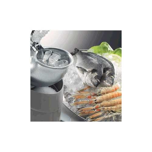 TRITAGHIACCIO PROFESSIONALE -...