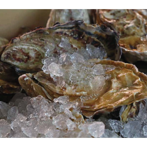 FABBRICATORE DI GHIACCIO GRANULARE...