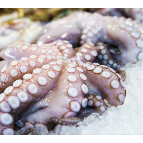 FABBRICATORE DI GHIACCIO GRANULARE... FABBRICATORE DI GHIACCIO GRANULARE...