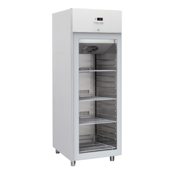 ARMADIO FRIGO PROFESSIONALE...
