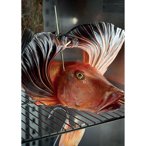 ARMADIO FROLLATURA PESCE-CAPACITA' 60... ARMADIO FROLLATURA PESCE-CAPACITA' 60...