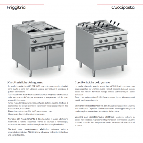 FRIGGITRICE ELETTRICA PROFESSIONALE...